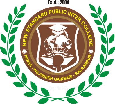 NEW STANDARD PUBLIC INTER COLLEGE